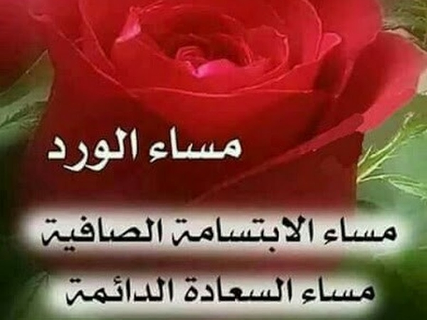 مساء الخير ياقمر - السهر والليل ونجومه وقمره 3939 8