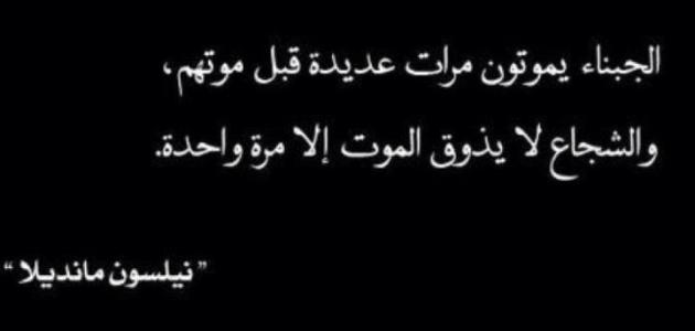 نصائح وحكم في الحياة , اجمل بوستات بحكم ونصائح تنفع الانسان