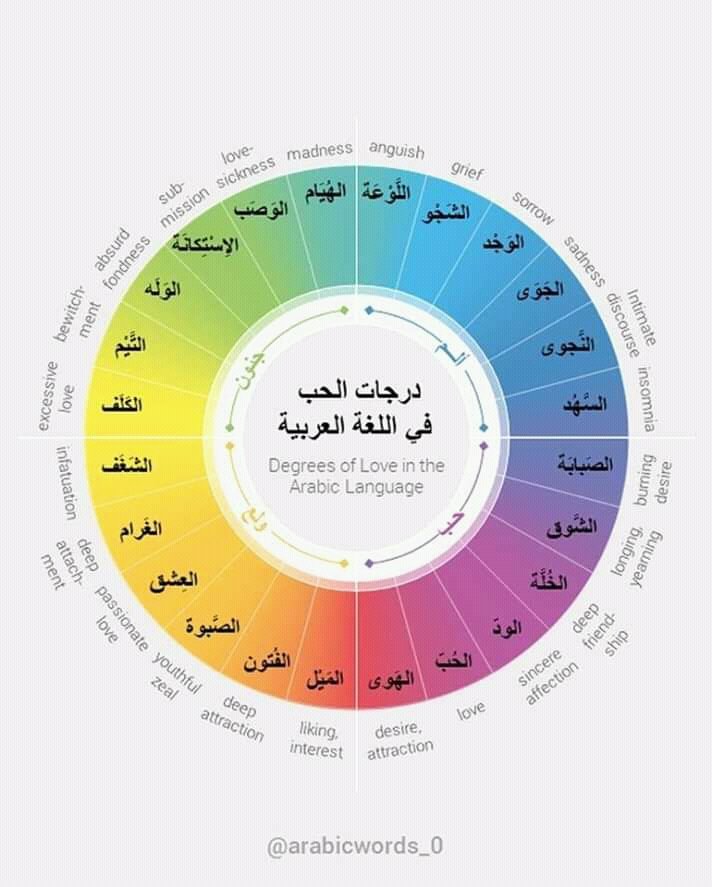 درجات الحب , عايز تفهم عن الحب