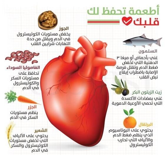 اكلات تقوي القلب - قوي قلبك بالاكل وحافظ على قوته 3862 3