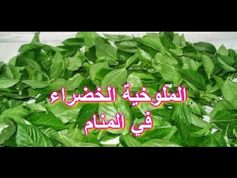 الملوخية في الحلم- وما هو تفسير رؤية الاكلة المفضلة في المنام 680 1