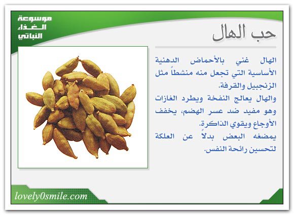 اعشاب طبيعية لعلاج الصدفية ما بين الحقائق والخرافات-كلمه عن الصدفيه 9966 8