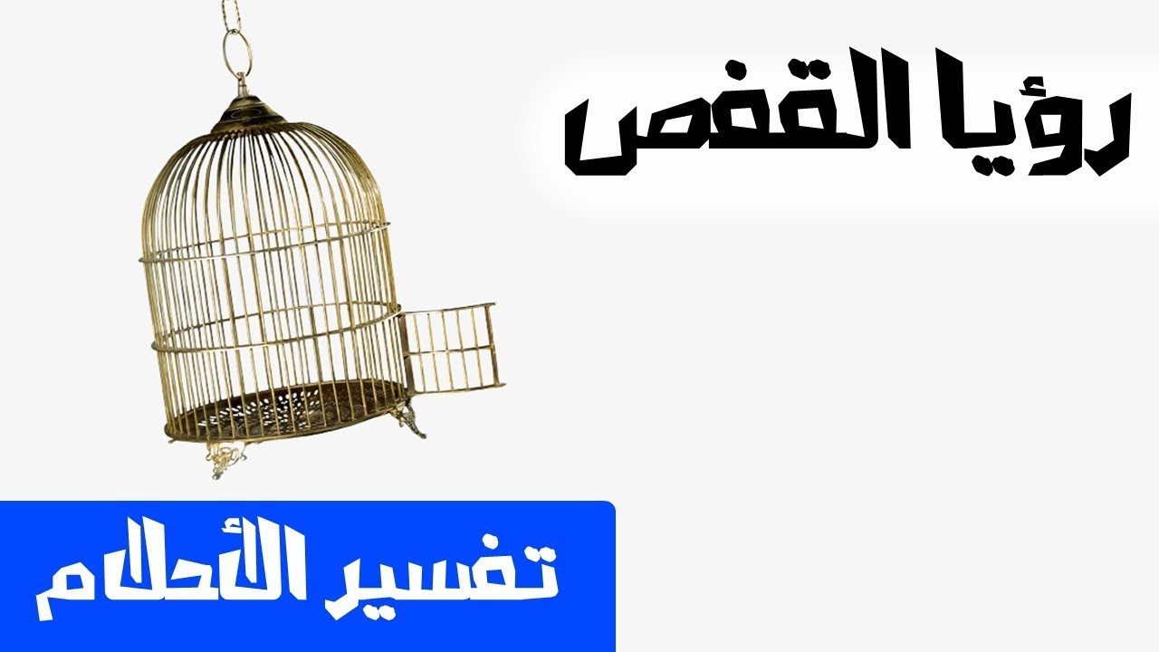 القفص في المنام - القفص فى الحلم يختلف معناه عن الحقيقة 3892 1