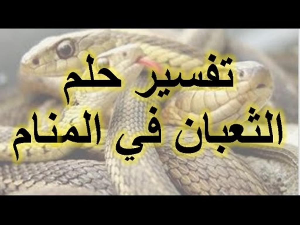 تفسير حلم ثعابين , تعرف على التفسيرات المختلفة لهذا الحلم