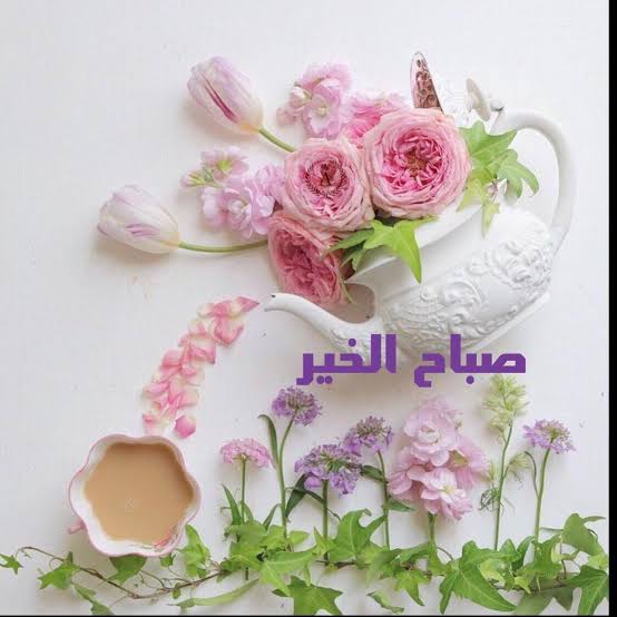 صور حب صباح , ما اجمل المغزلت فى الرساله الصباحيه