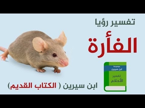 الفار بالحلم لابن سيرين , معقوله الفار معناه كده في الحلم