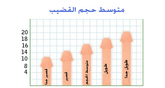 طول الذكر الطبيعي بالصور , طول القضيب حسب العمر