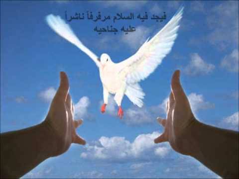 صور عن السلام - الحمام رمز الامن والسلم والسلام 904 14