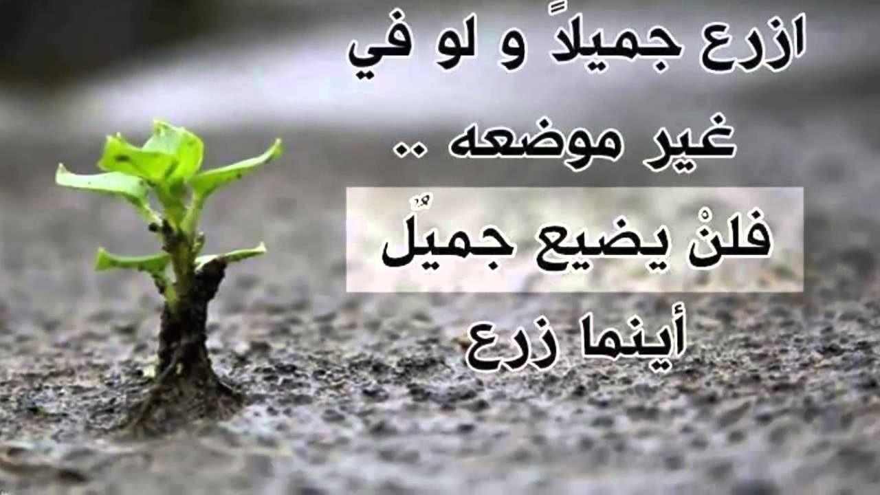 من اروع الحكم - خذوا الحكمة من افواه الحكماء 4067