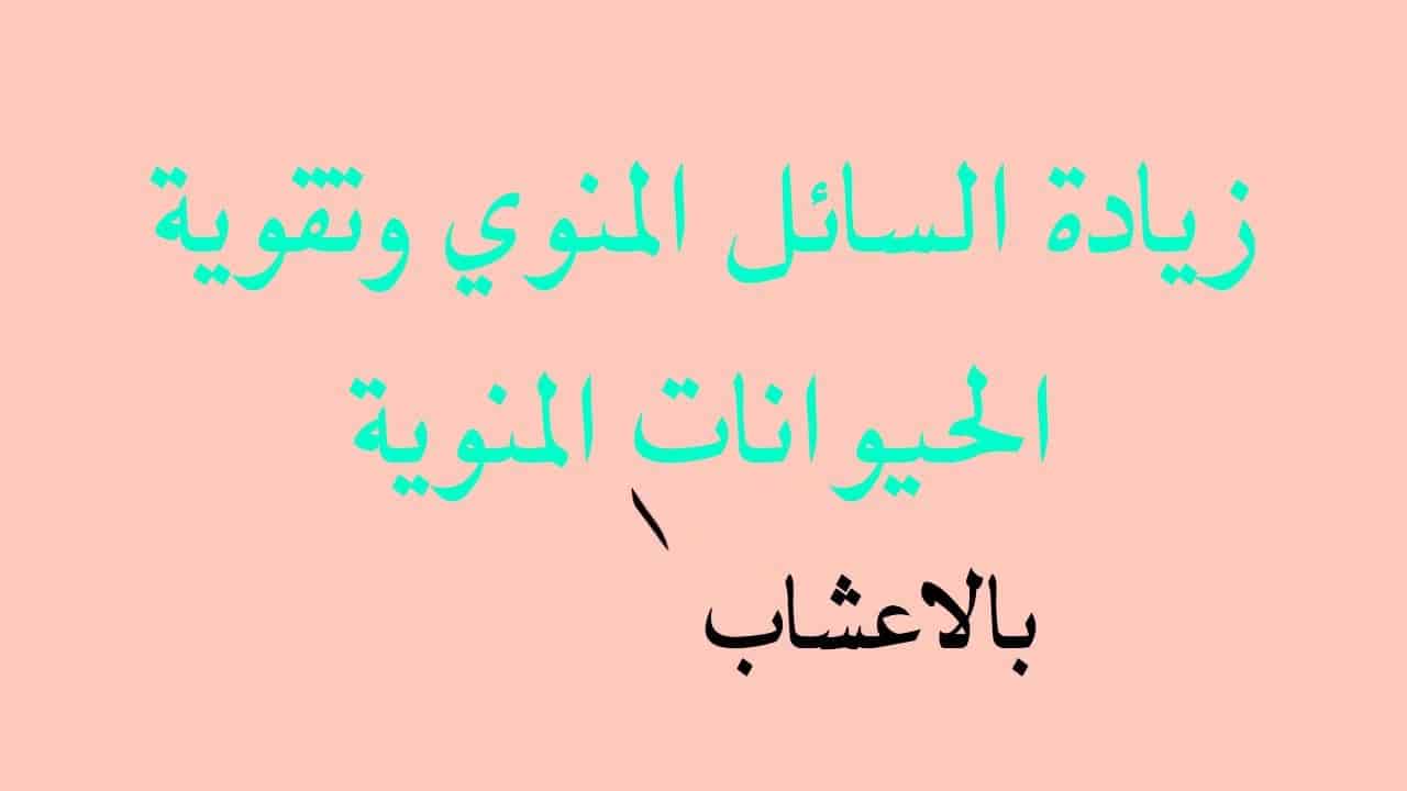 تقوية حركة الحيوان المنوى - علاج ضعف الحيوان المنوي وطرق تحسينها 3685 2