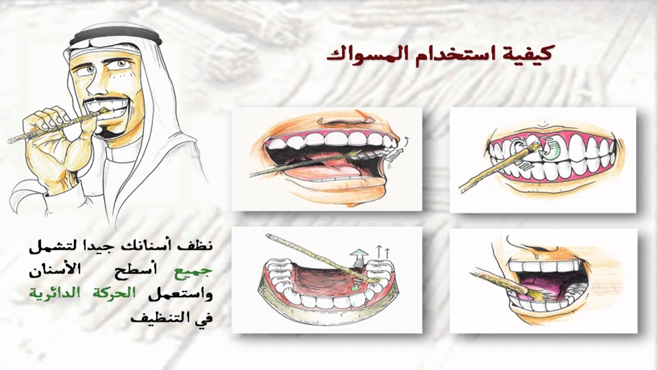 كيفية استخدام السواك - للسواك فوائد كثيرة جدا اعرفها 3883 20