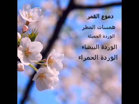 اسماء مستعارة-يلا نعرف الأسماء الجديده 10002 6