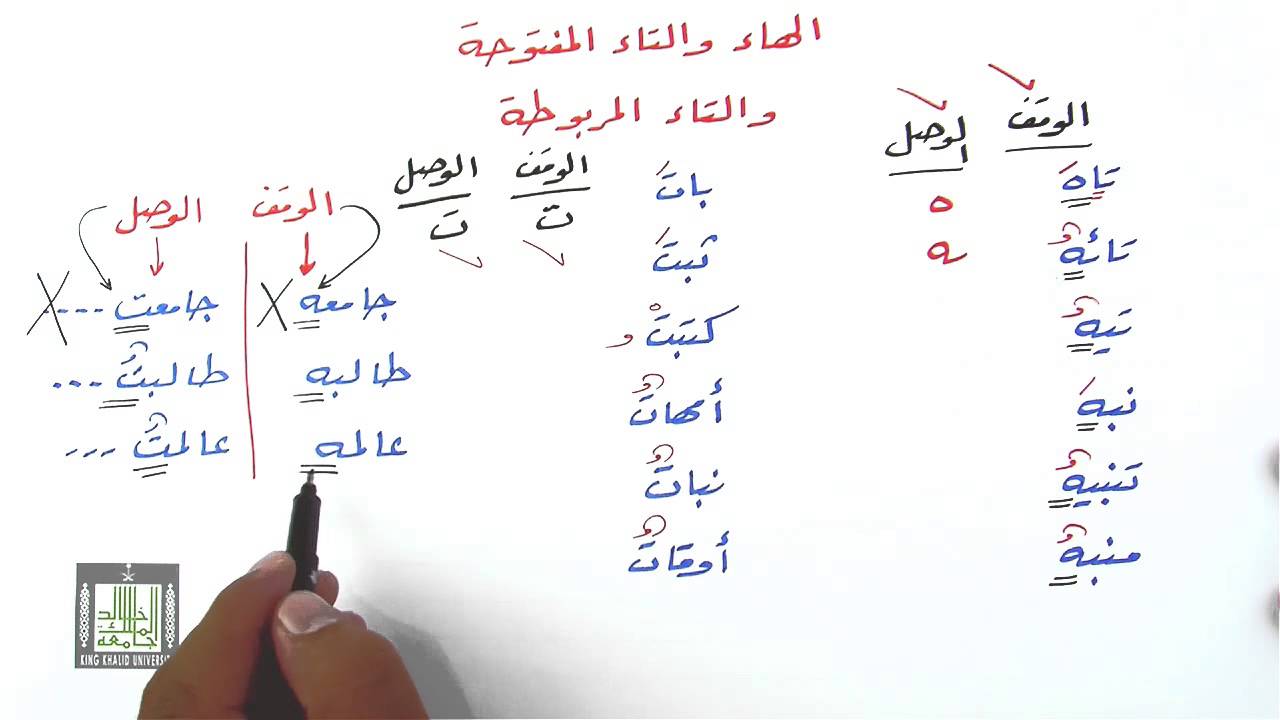 كلمات تنتهي بالتاء المربوطة , كلمات فى اللغه العربيه